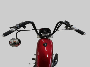 Harley-Davidson Softail