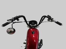 Harley-Davidson Softail