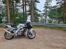 Suzuki SV