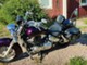 Honda VTX