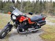 Suzuki GS