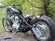 Honda Shadow
