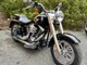 Harley-Davidson Softail
