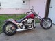 Harley-Davidson Softail