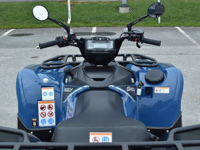 Yamaha Grizzly