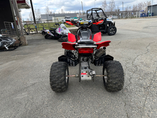 Arctic Cat 400 DVX