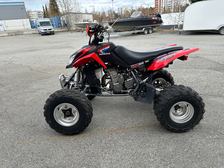 Arctic Cat 400 DVX