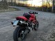 Ducati Monster