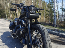 Harley-Davidson Sportster