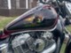 Honda Shadow