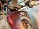 Honda Shadow