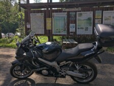 Honda CBR