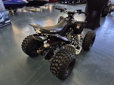 Can-Am DS