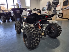 Can-Am DS