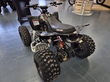 Can-Am DS