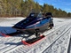 Polaris Indy
