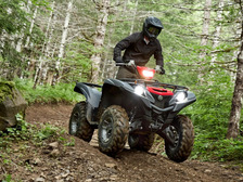 Yamaha Grizzly