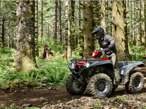 Yamaha Grizzly