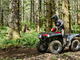 Yamaha Grizzly