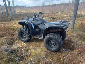 Yamaha Grizzly
