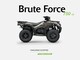 Kawasaki Brute Force