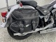 Harley-Davidson Softail