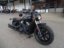Indian Scout