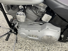 Harley-Davidson Softail