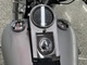 Harley-Davidson Softail