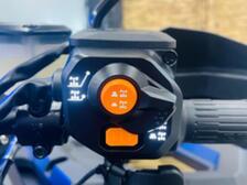 Segway Snarler