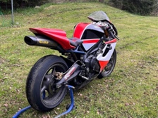 Triumph Daytona