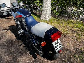 Suzuki GSX