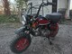 Honda Monkey