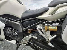 Yamaha FZ1-S