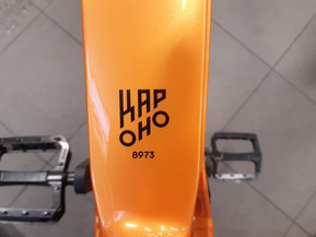 KTM Sähköpolkupyörä