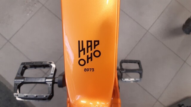 KTM Sähköpolkupyörä Sähköpolkupyörä 