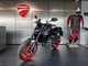 Ducati Monster