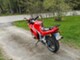 Triumph Sprint