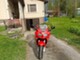 Triumph Sprint