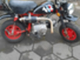 Honda Monkey