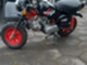 Honda Monkey