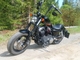 Harley-Davidson Sportster