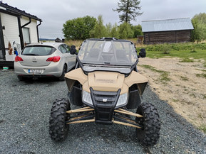 Arctic Cat Wildcat