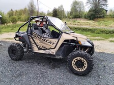 Arctic Cat Wildcat