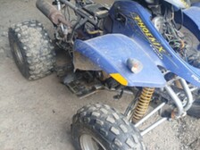 Polaris Phoenix