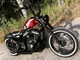 Harley-Davidson Sportster