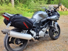Suzuki SV