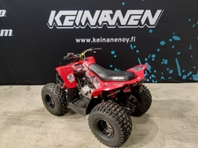 Can-Am DS