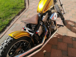 Harley-Davidson Softail