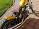 Harley-Davidson Softail